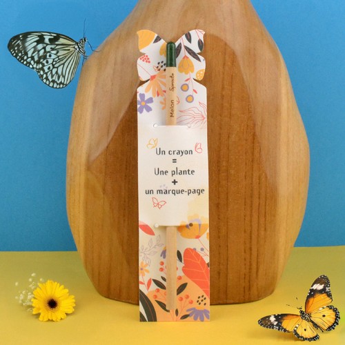 Crayon à graines étui papillon standard