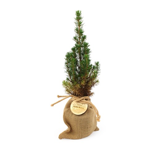 Sapin pochon jute Ø10 cm