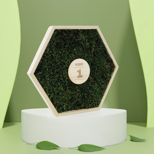 Trophée mousse hexagonal