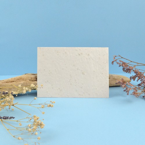 Enveloppe papier graines