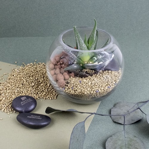 Terrarium DIY Petit modèle
