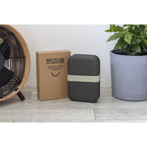 Amuse - Amuse Recycled PP Lunch Box Large